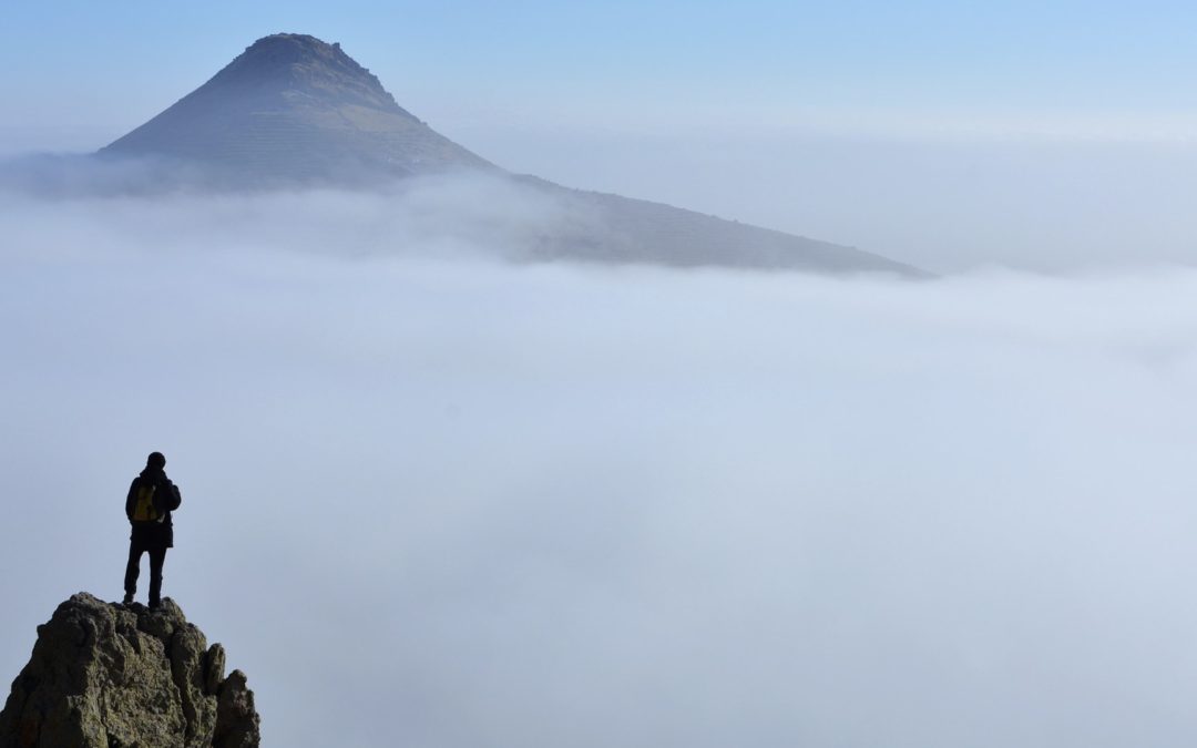 Call for Nominations – Division 16’s Early Career Professionals (ECP) Workgroup