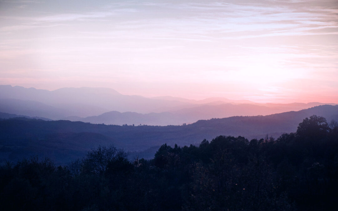 APA Webinar: “The NIH Will Pay Off Your Student Loans – Here’s How!”