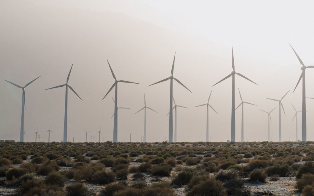 Research Assistant Professor – Buros Center for Testing, University of Nebraska-Lincoln